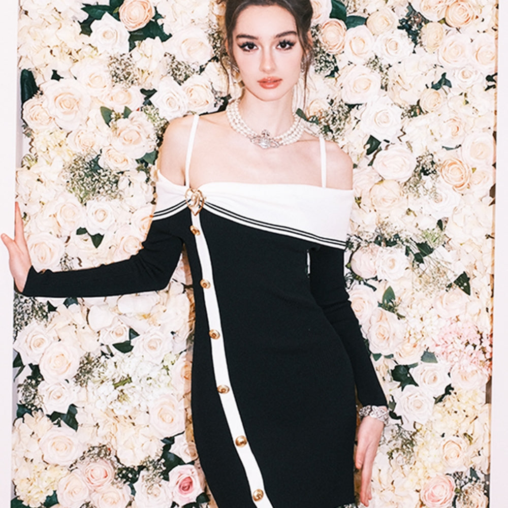 DIANA VEVINA Black Bodycon Dress